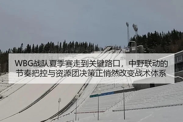 WBG战队夏季赛走到关键路口，中野联动的节奏把控与资源团决策正悄然改变战术体系